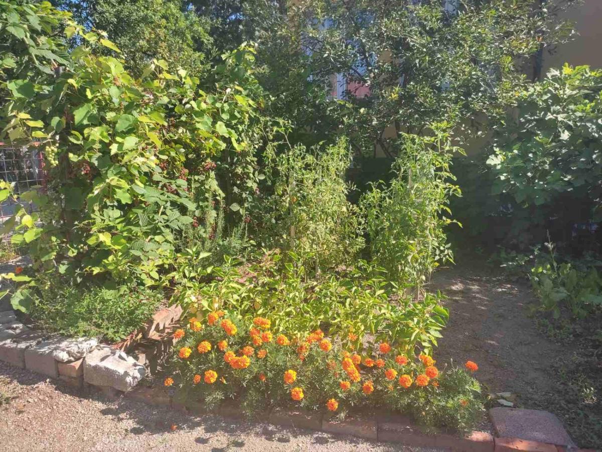 Apartman Hujic Apartman Bihać Kültér fotó